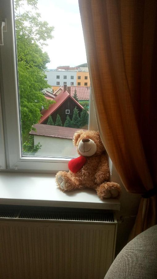 Apartamenty Narutowicza Tarnów Kültér fotó